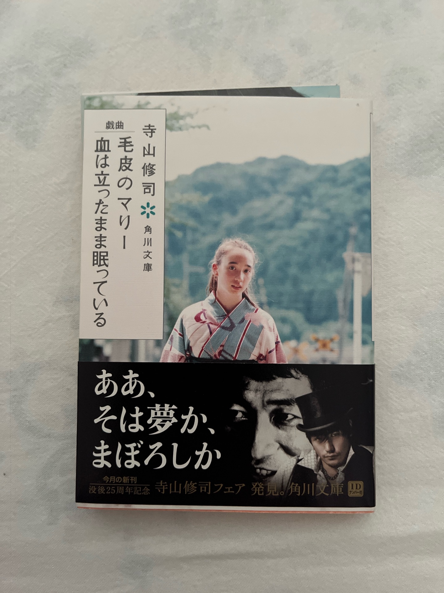 戯曲 毛皮のマリー 血は立ったまま眠っている (角川文庫)