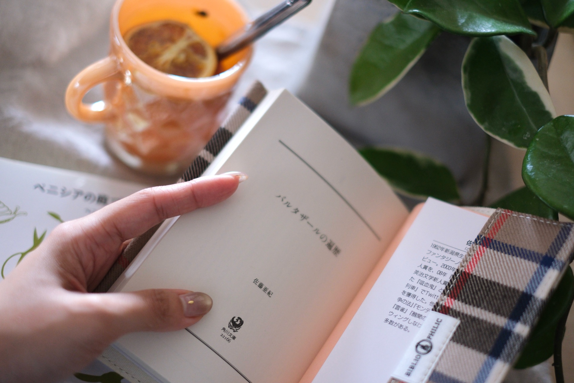 バルタザールの遍歴