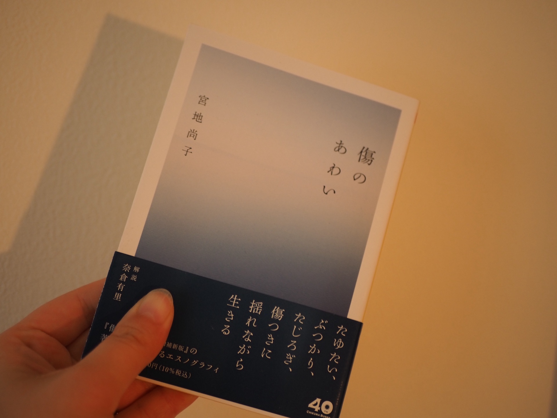 傷のあわい