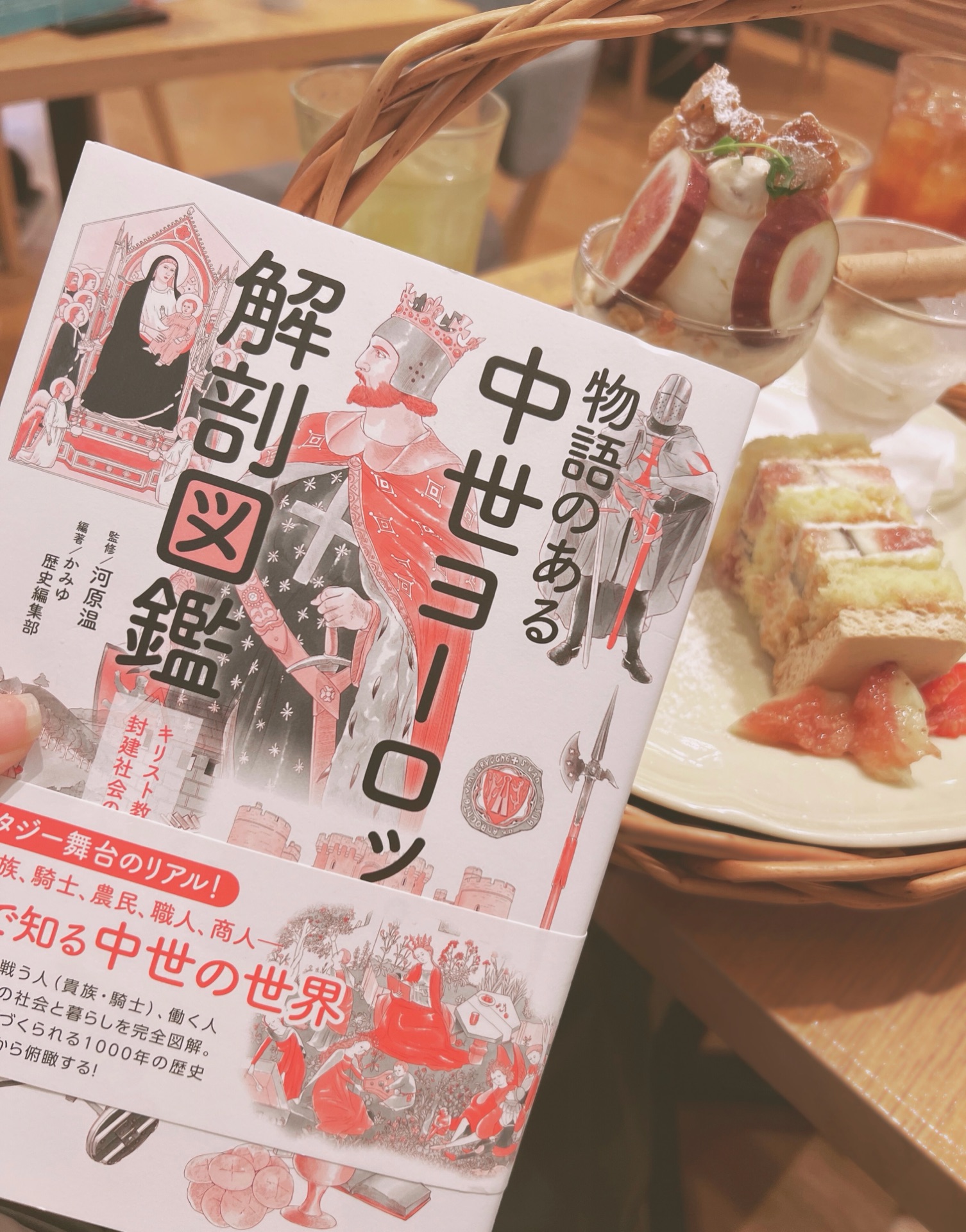 物語のある中世ヨーロッパ解剖図鑑