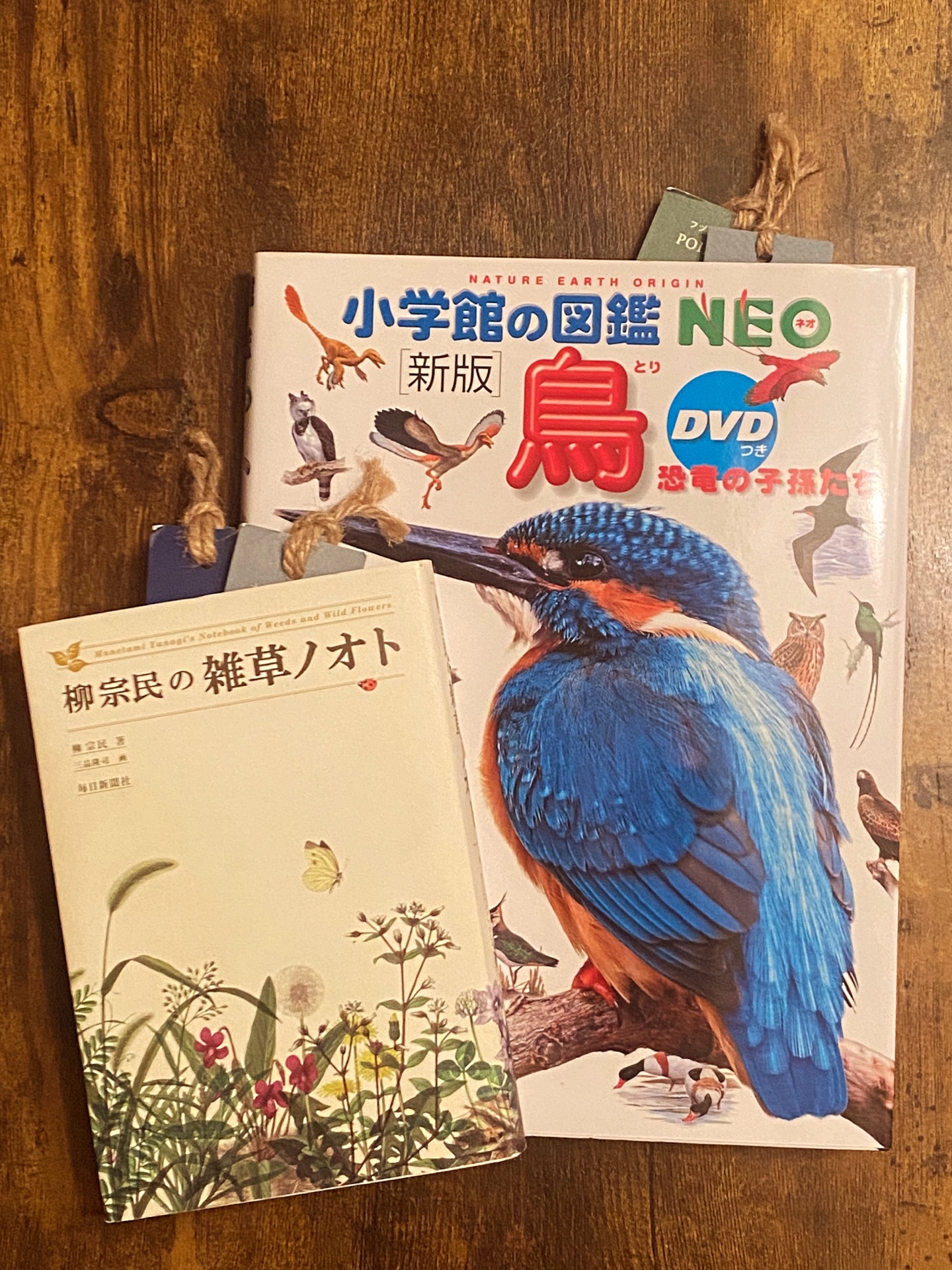 柳宗民の雑草ノオト