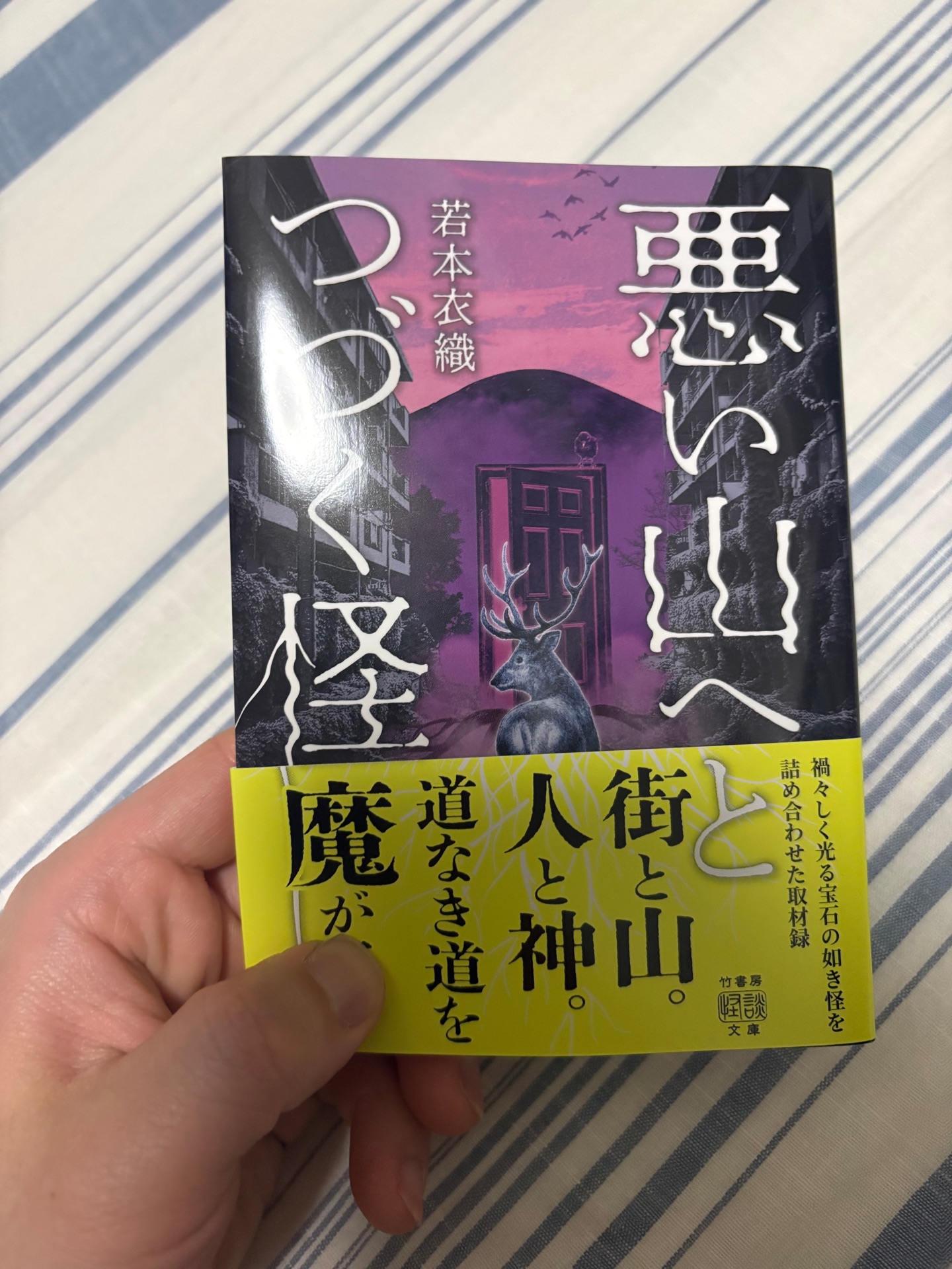 悪い山へとつづく怪