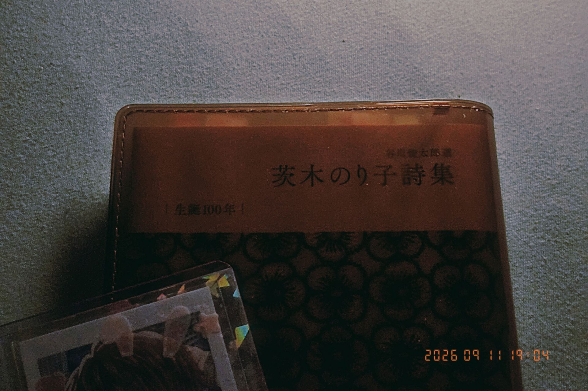 茨木のり子詩集