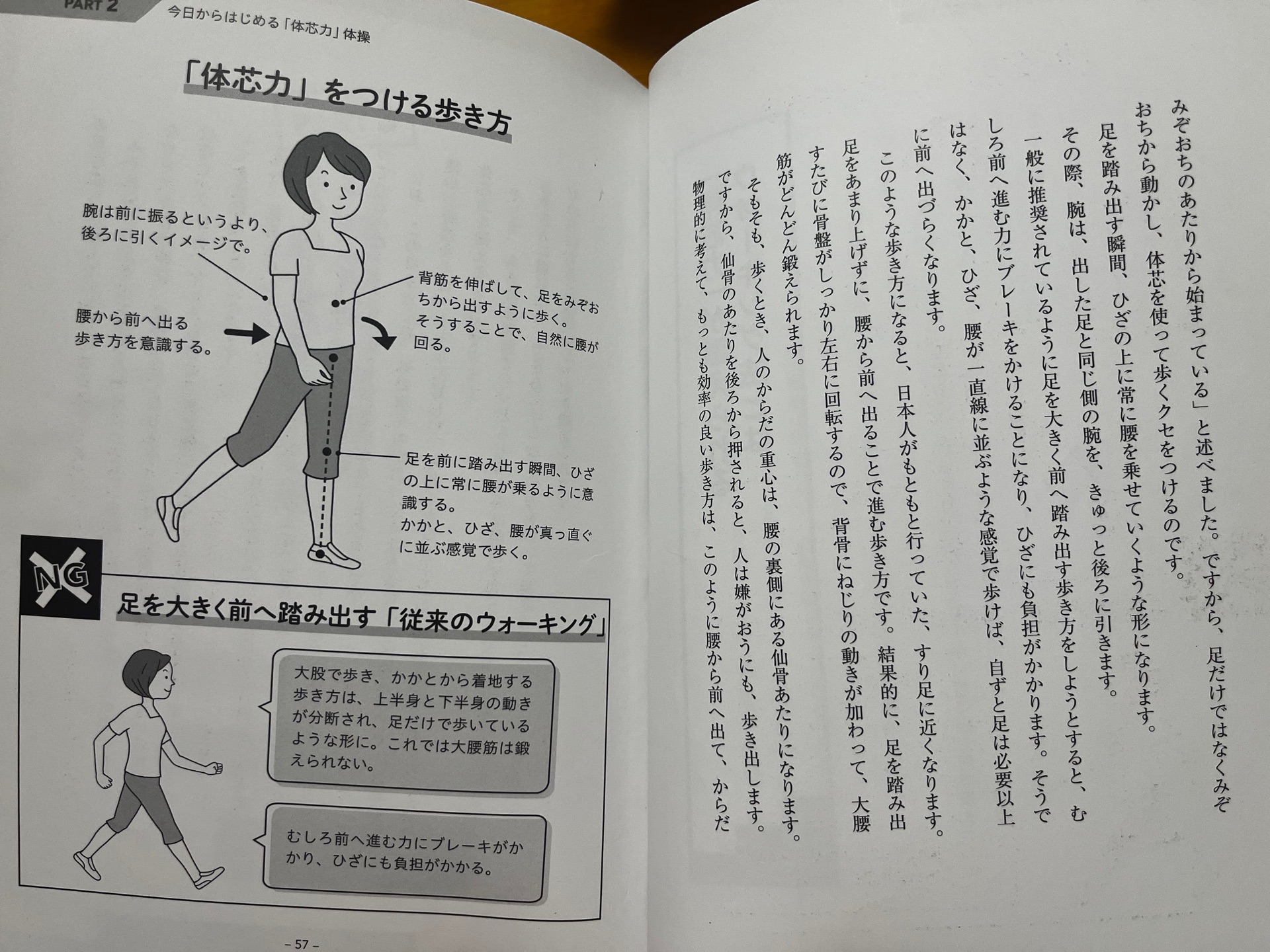 「体芯力」体操