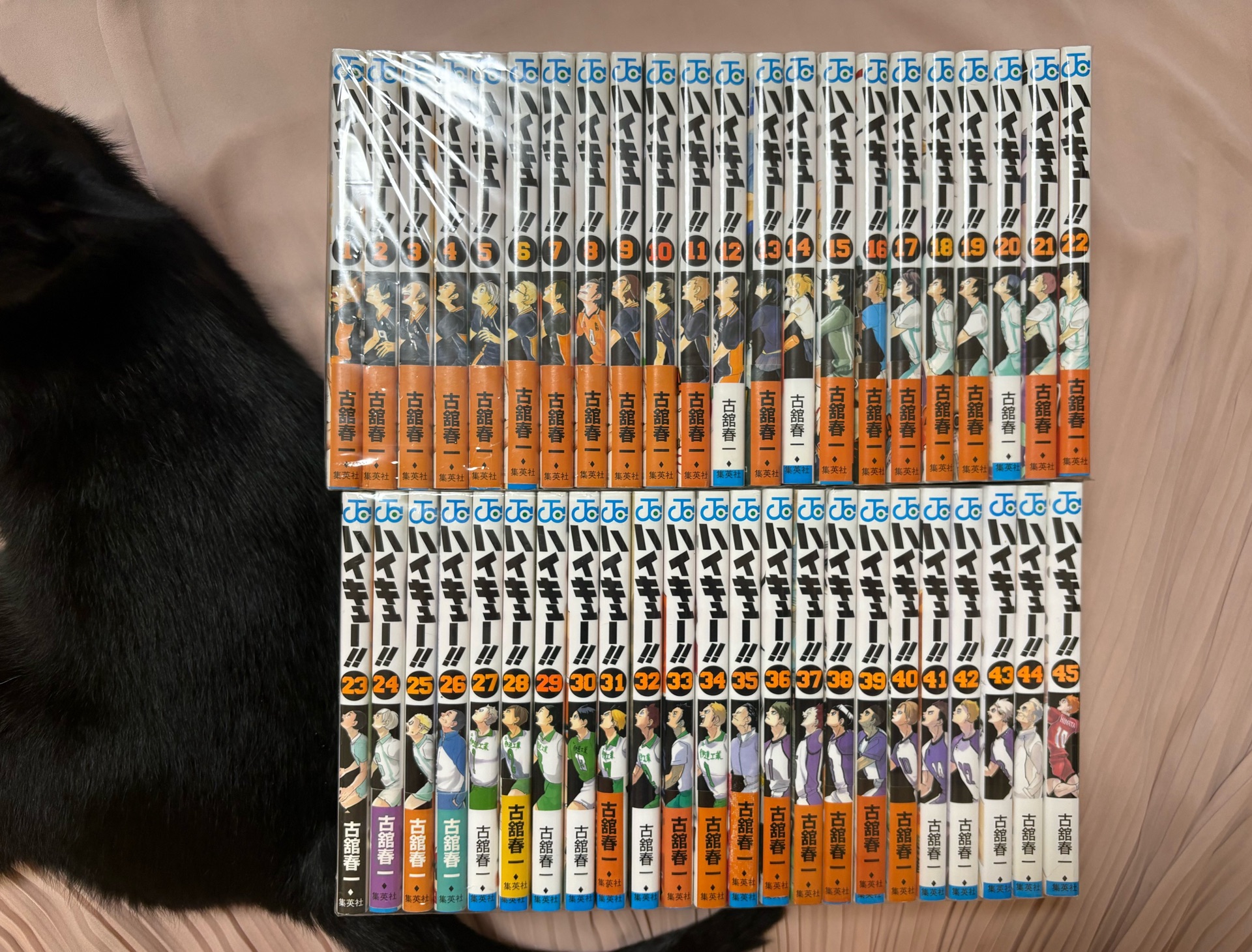 ハイキュー!! 1
