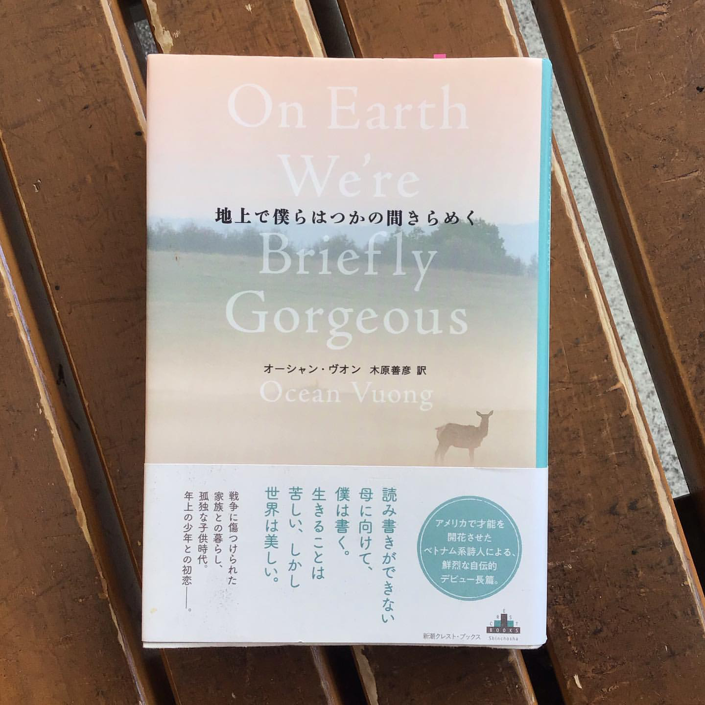 地上で僕らはつかの間きらめく