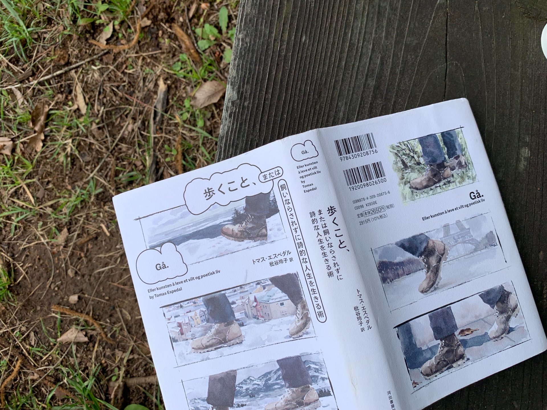 歩くこと、または飼いならされずに詩的な人生を生きる術