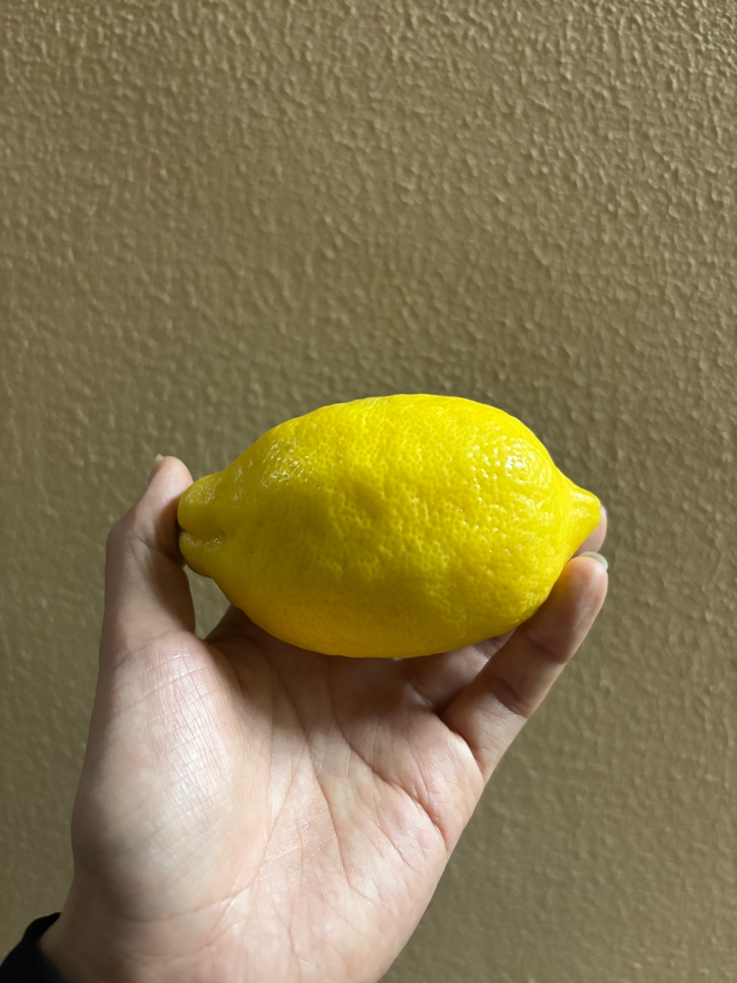 生まれた時からアルデンテ