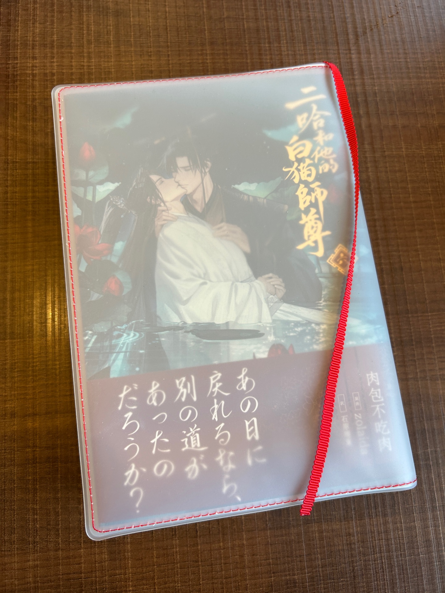 小説「二哈和他的白猫師尊」第6巻（ハスキーとかれのしろねこしずん）