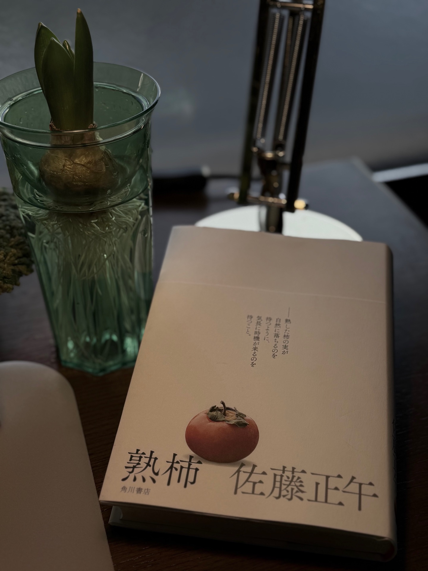 熟柿 (角川書店単行本)