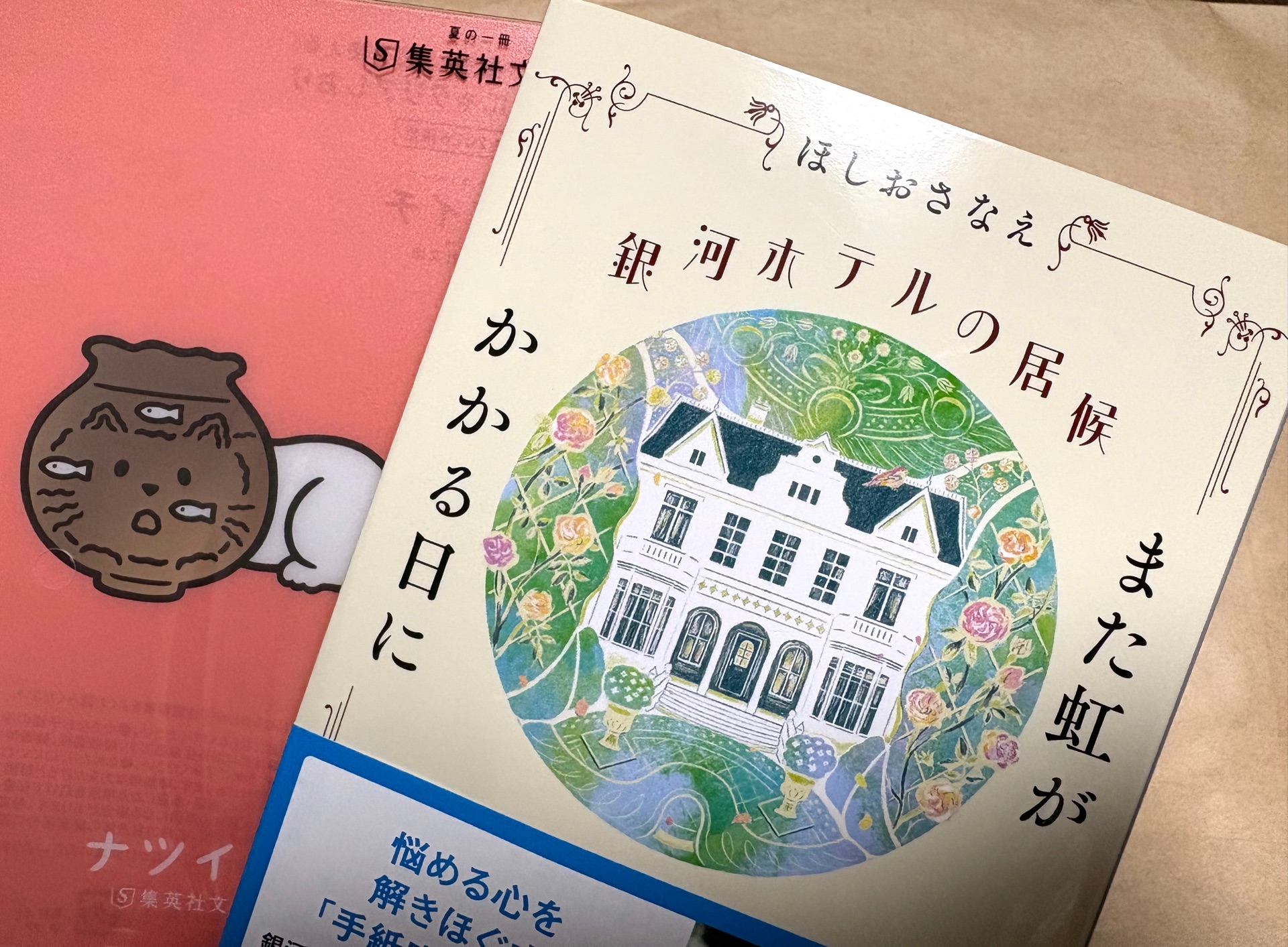 銀河ホテルの居候 また虹がかかる日に