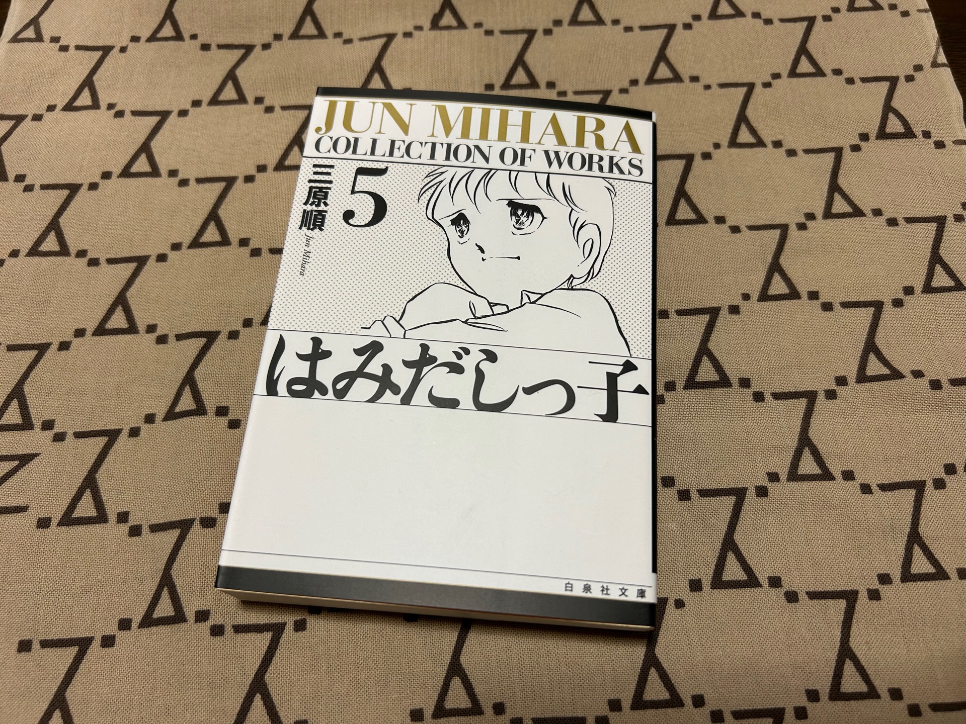 はみだしっ子(第5巻)