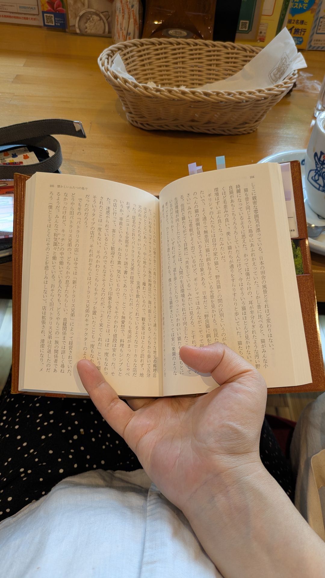 ラオスにいったい何があるというんですか? 紀行文集