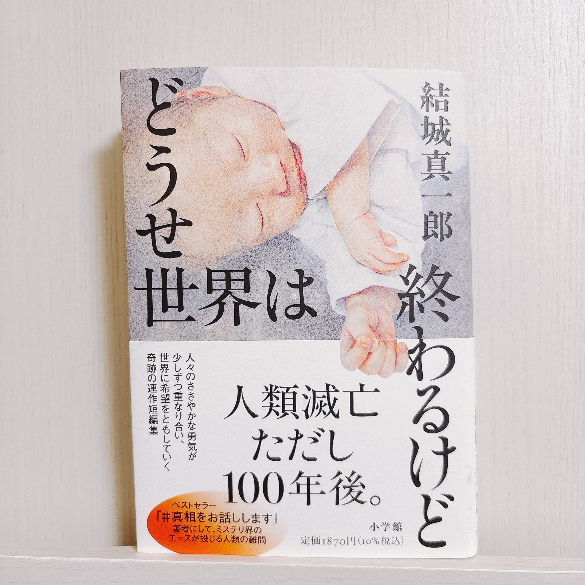 どうせ世界は終わるけど