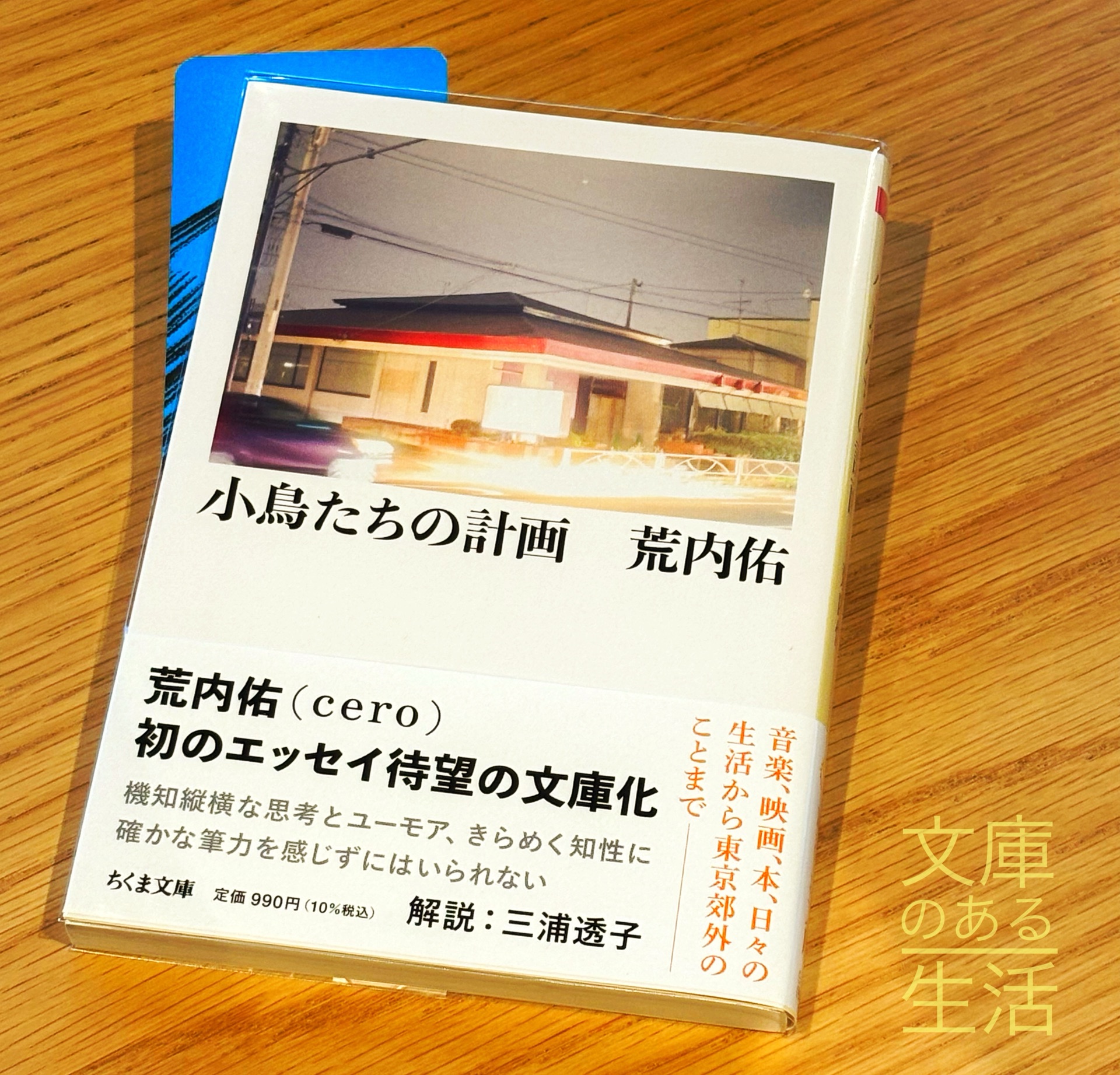小鳥たちの計画