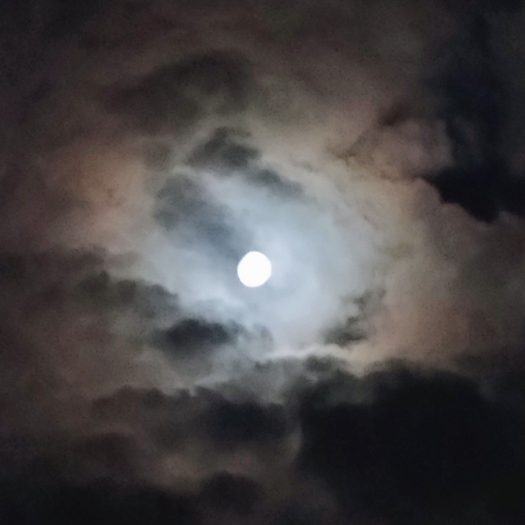 文鳥・夢十夜