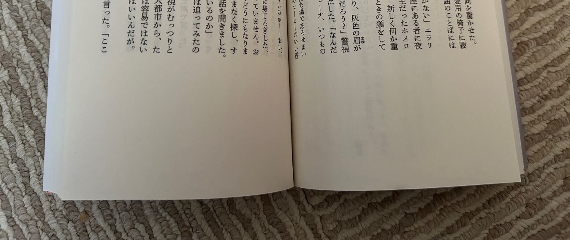 オランダ靴の秘密