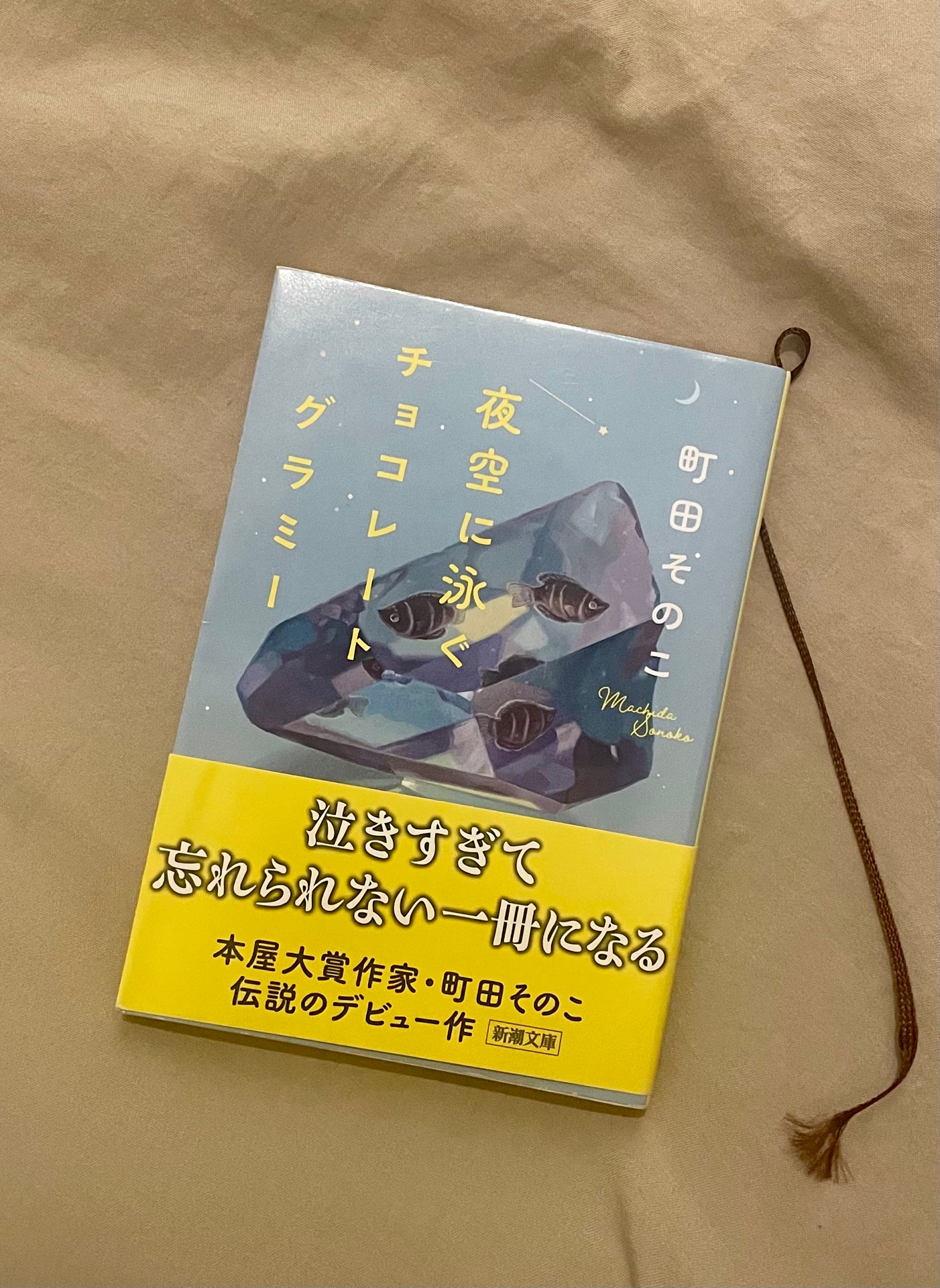 夜空に泳ぐチョコレートグラミー(新潮文庫)