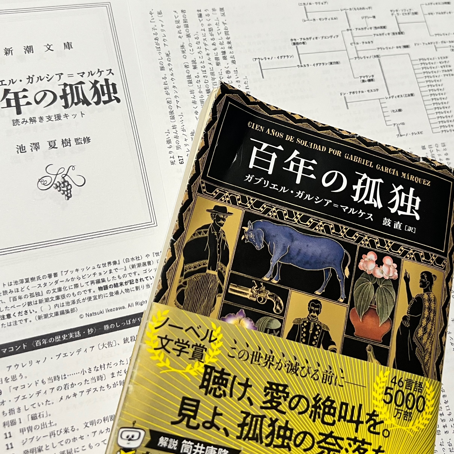百年の孤独
