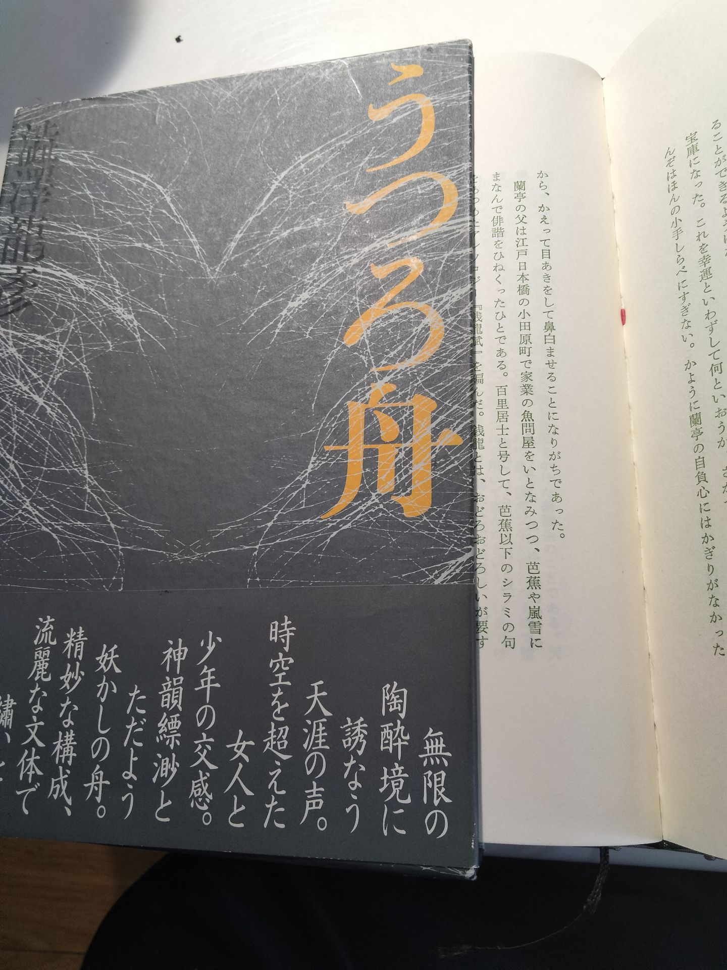うつろ舟 澁澤龍彦コレクション (河出文庫)