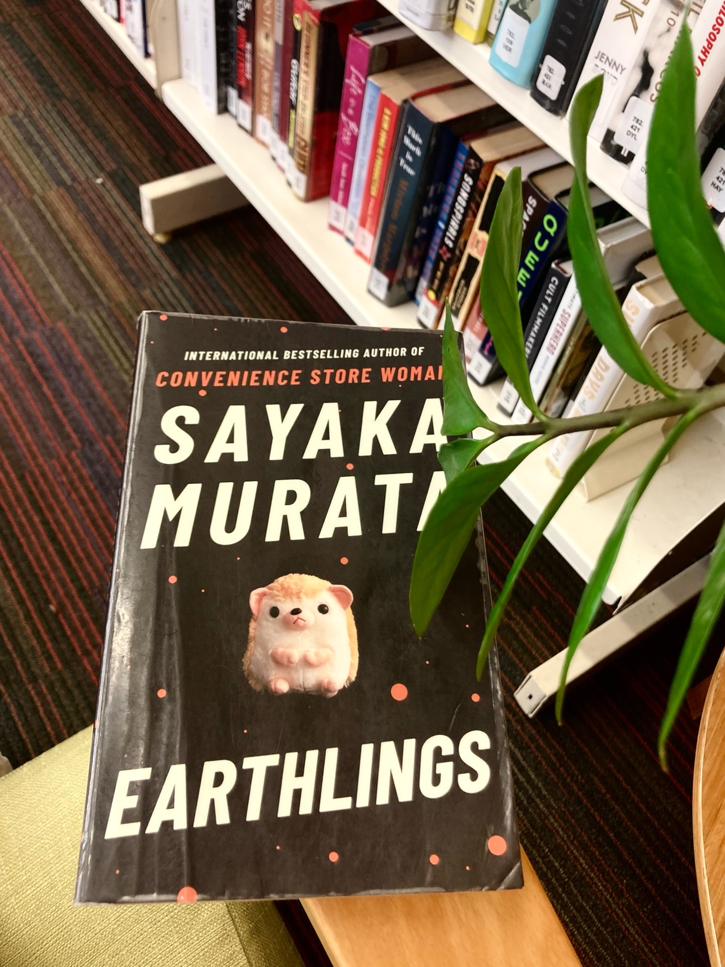 地球星人