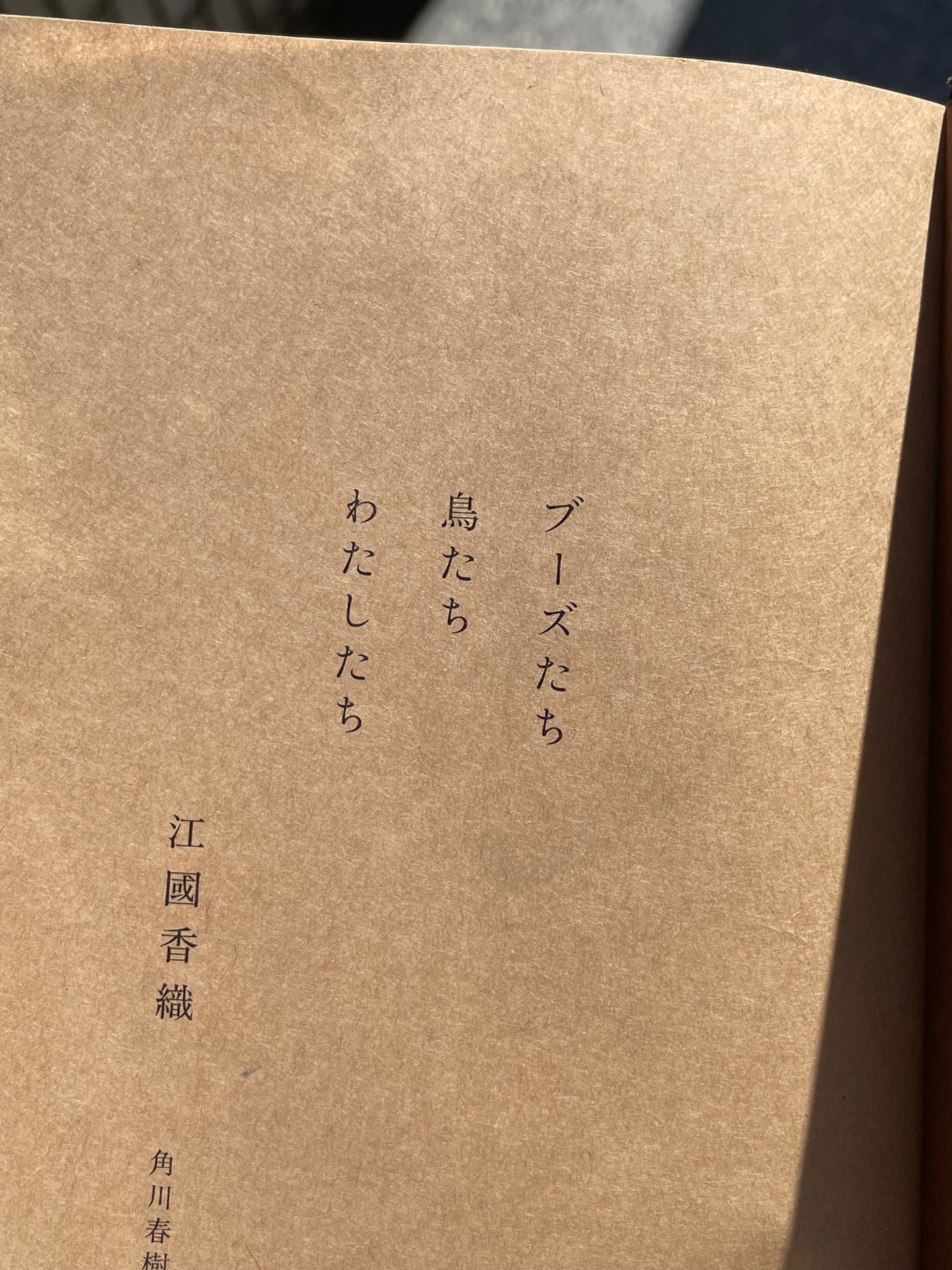 ブーズたち鳥たちわたしたち