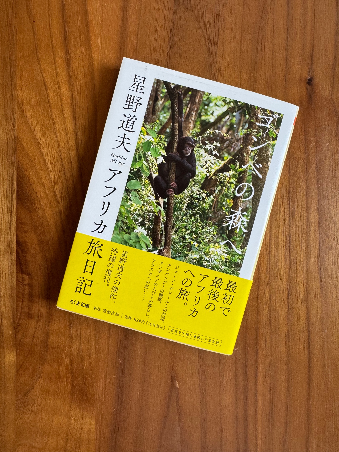 ゴンべの森へ