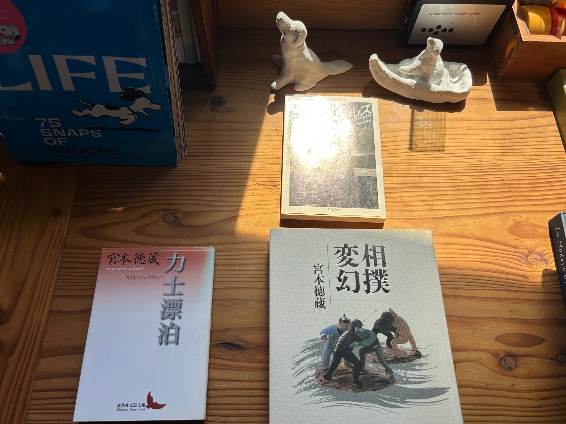 相撲変幻