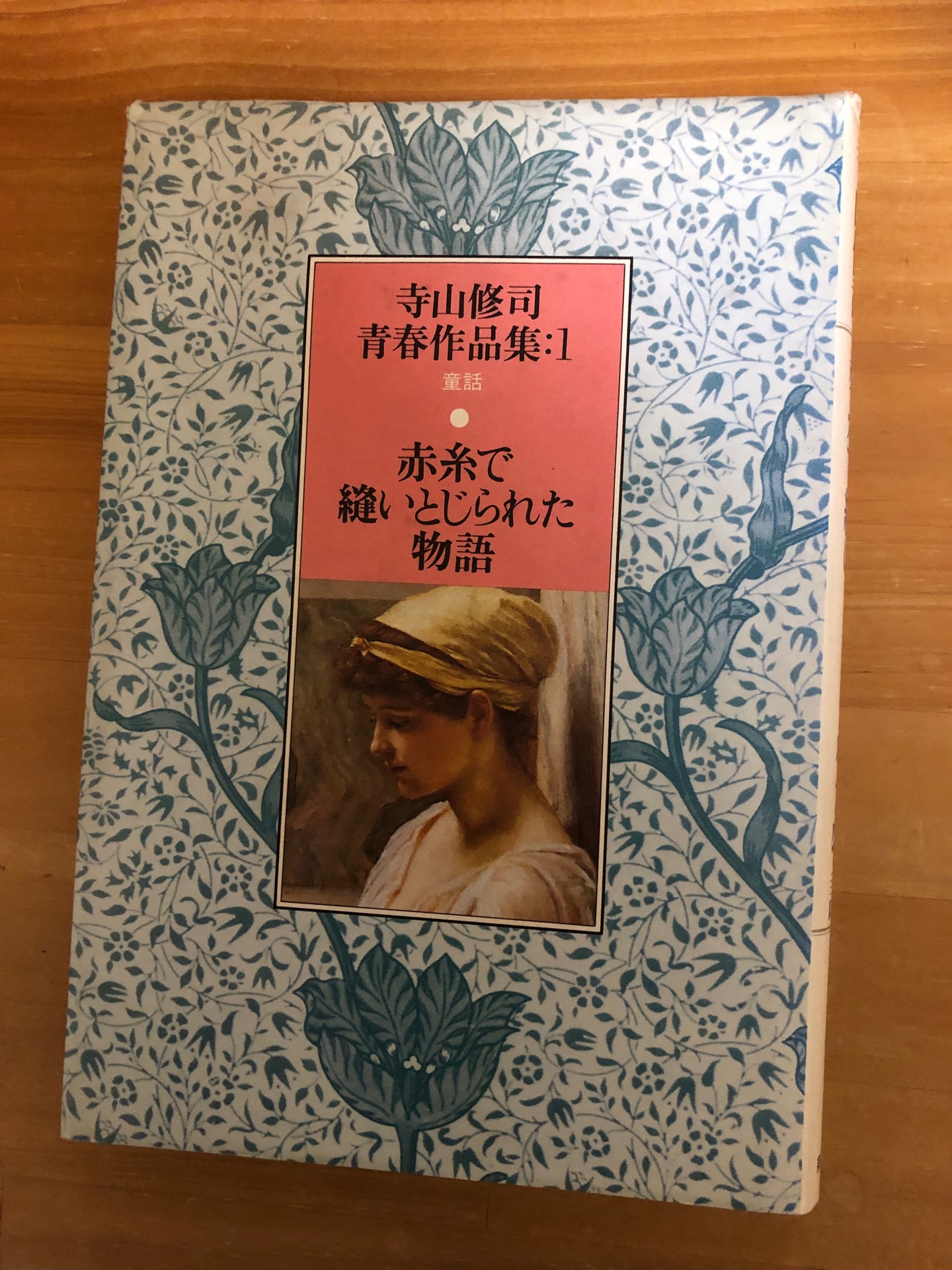 赤糸で縫いとじられた物語