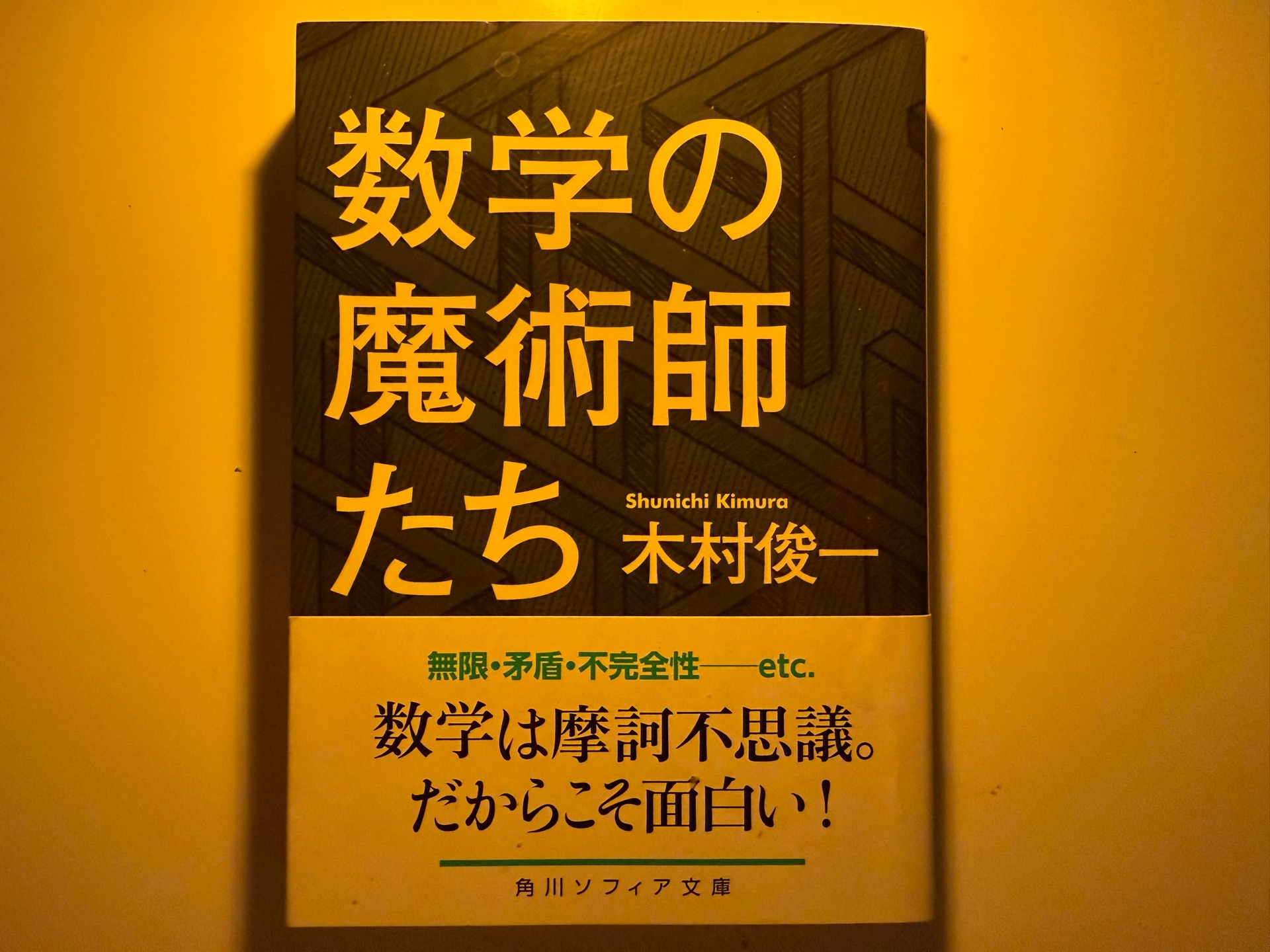 数学の魔術師たち