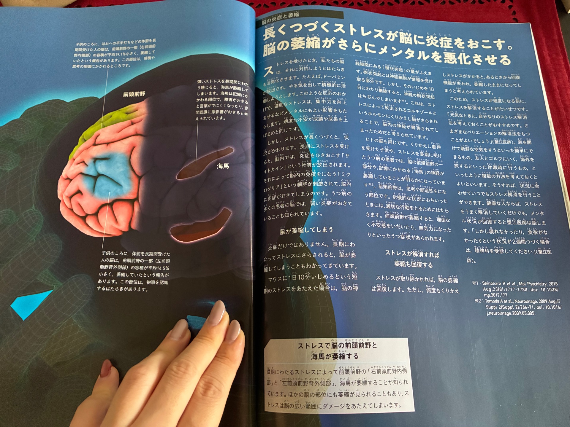 Newton別冊 メンタルの取扱説明書