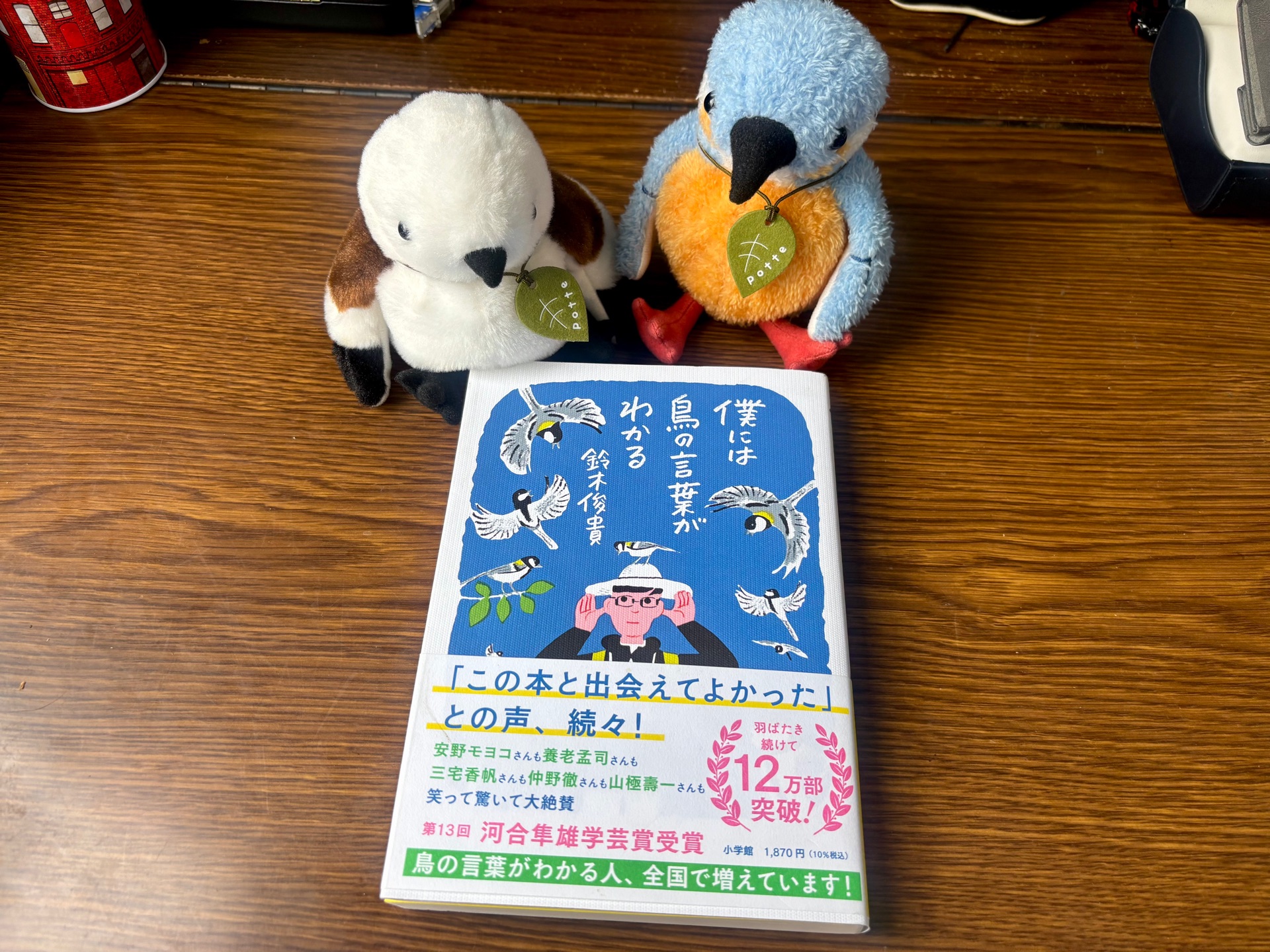 僕には鳥の言葉がわかる