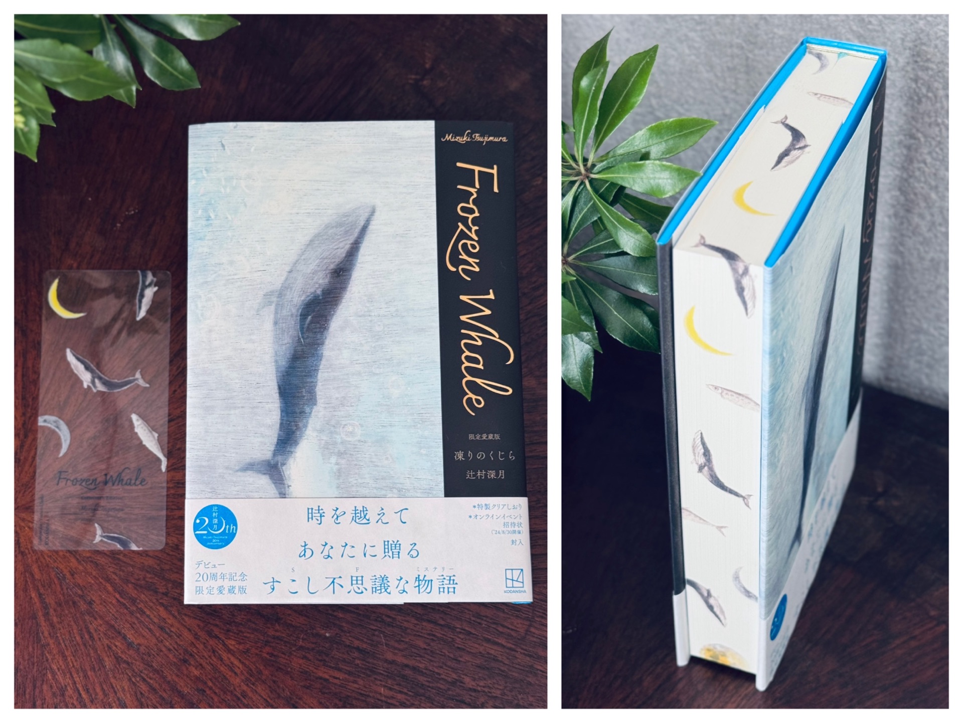 限定愛蔵版 凍りのくじら