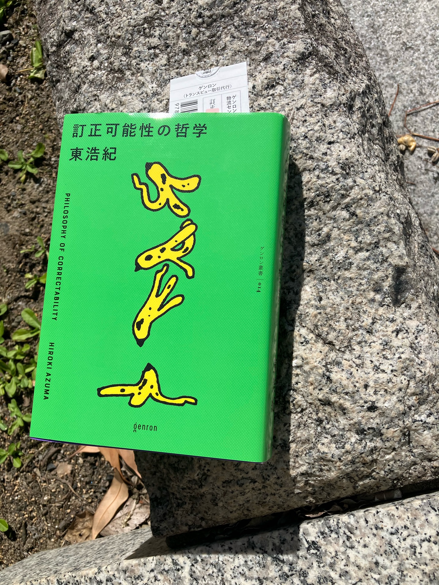 訂正可能性の哲学