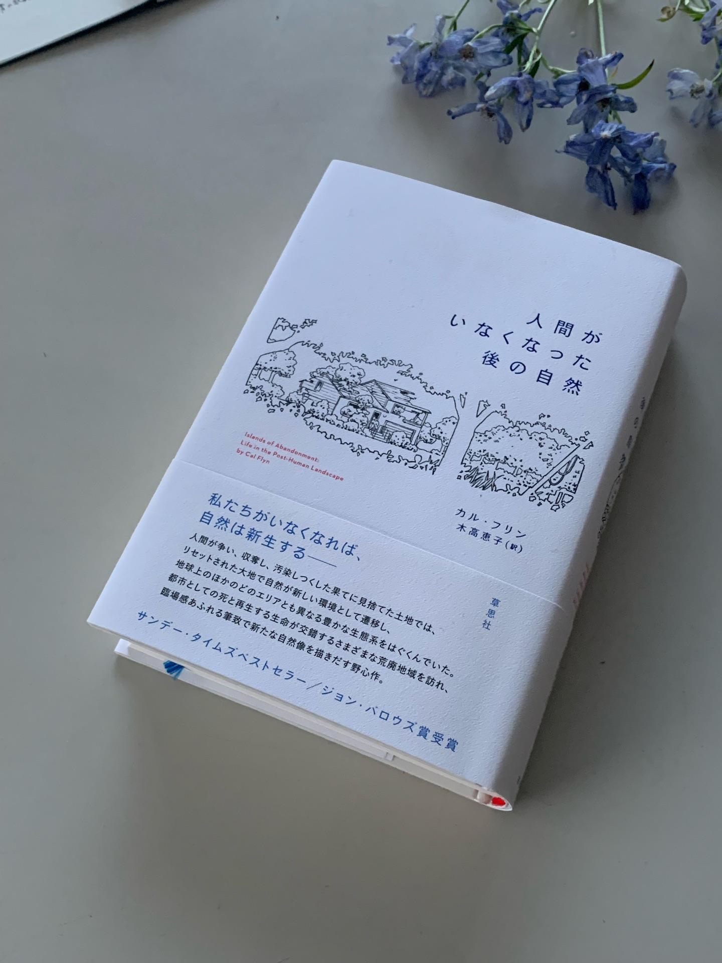 人間がいなくなった後の自然