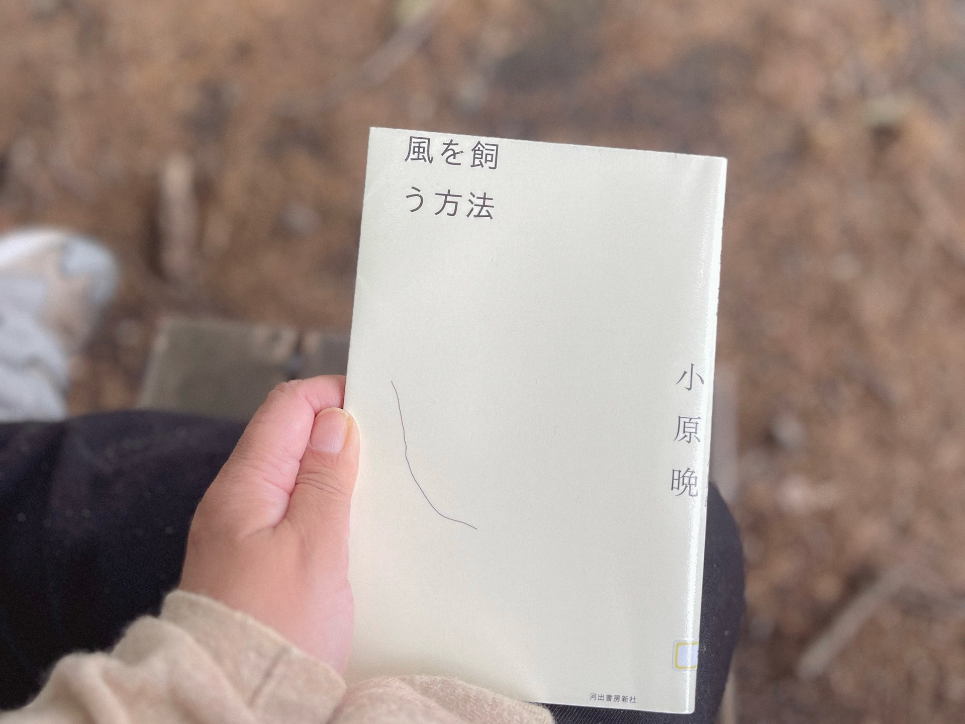 風を飼う方法