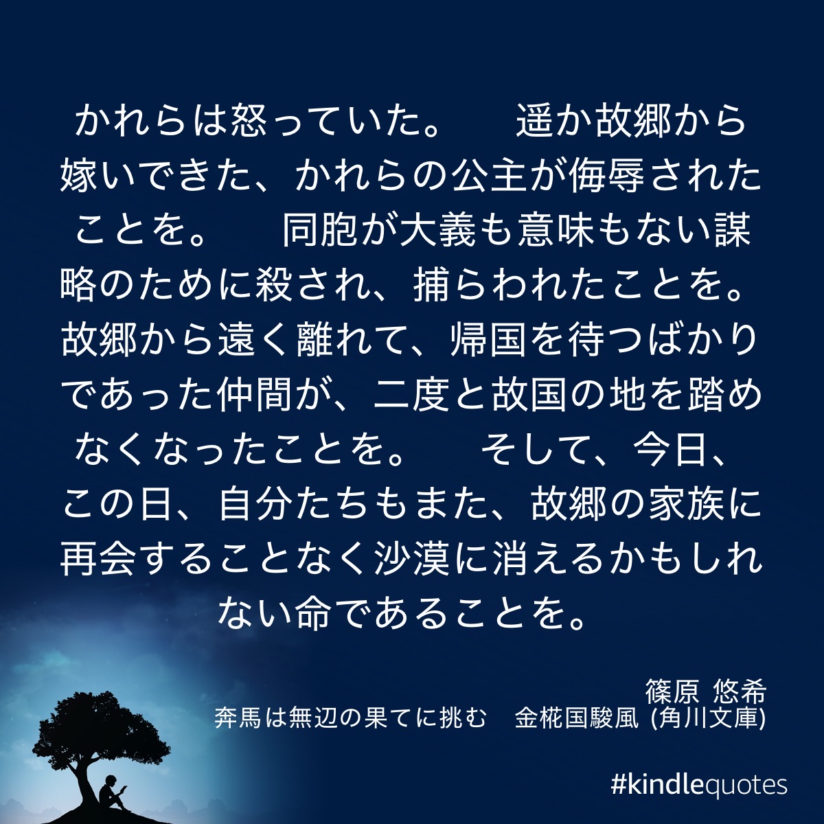 奔馬は無辺の果てに挑む 金椛国駿風(3)
