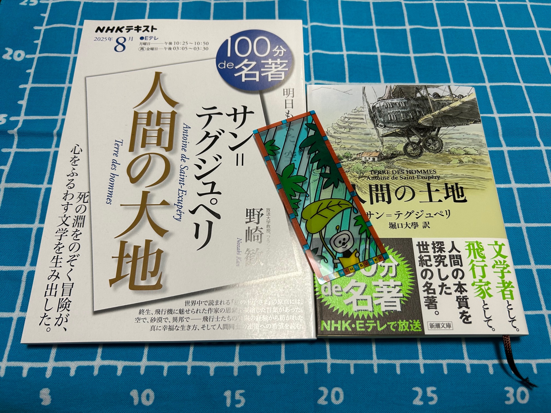 人間の土地