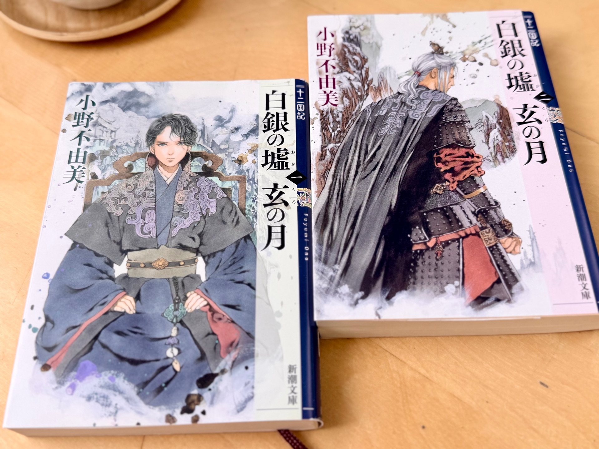 白銀の墟 玄の月 第一巻 十二国記