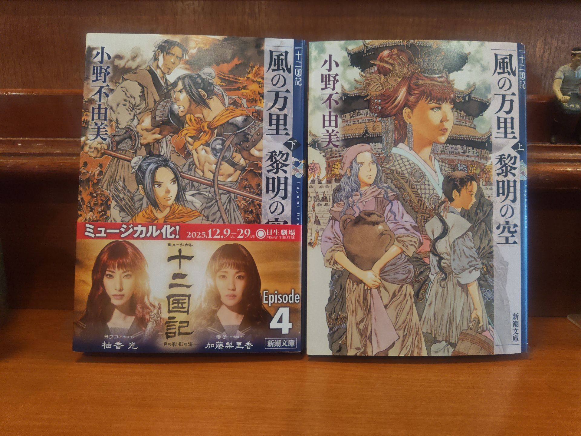 風の万里 黎明の空(上) 十二国記