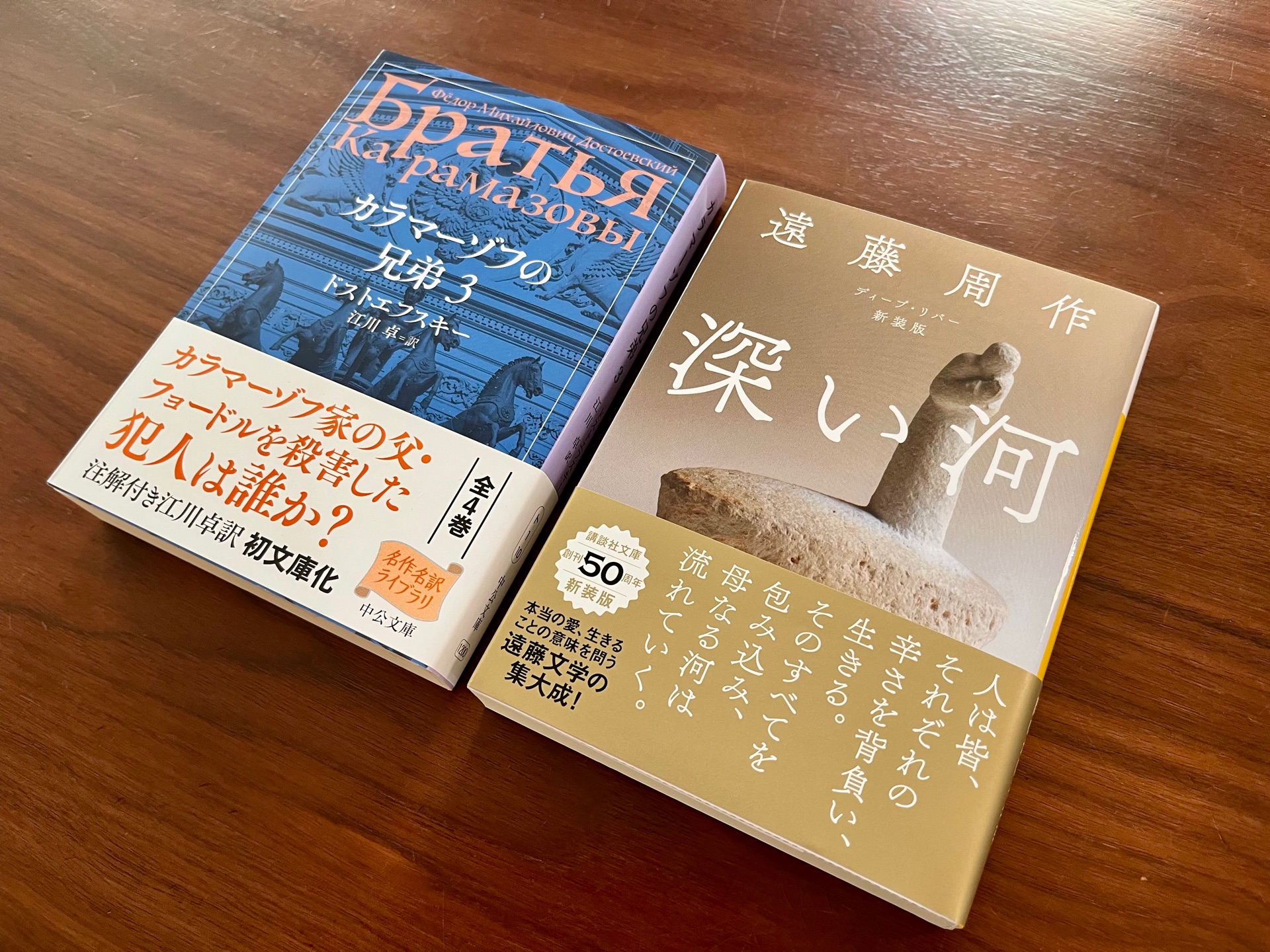 カラマーゾフの兄弟　3