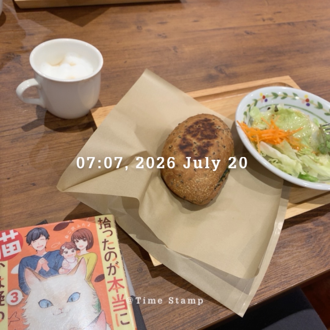拾ったのが本当に猫かは疑わしい(3)
