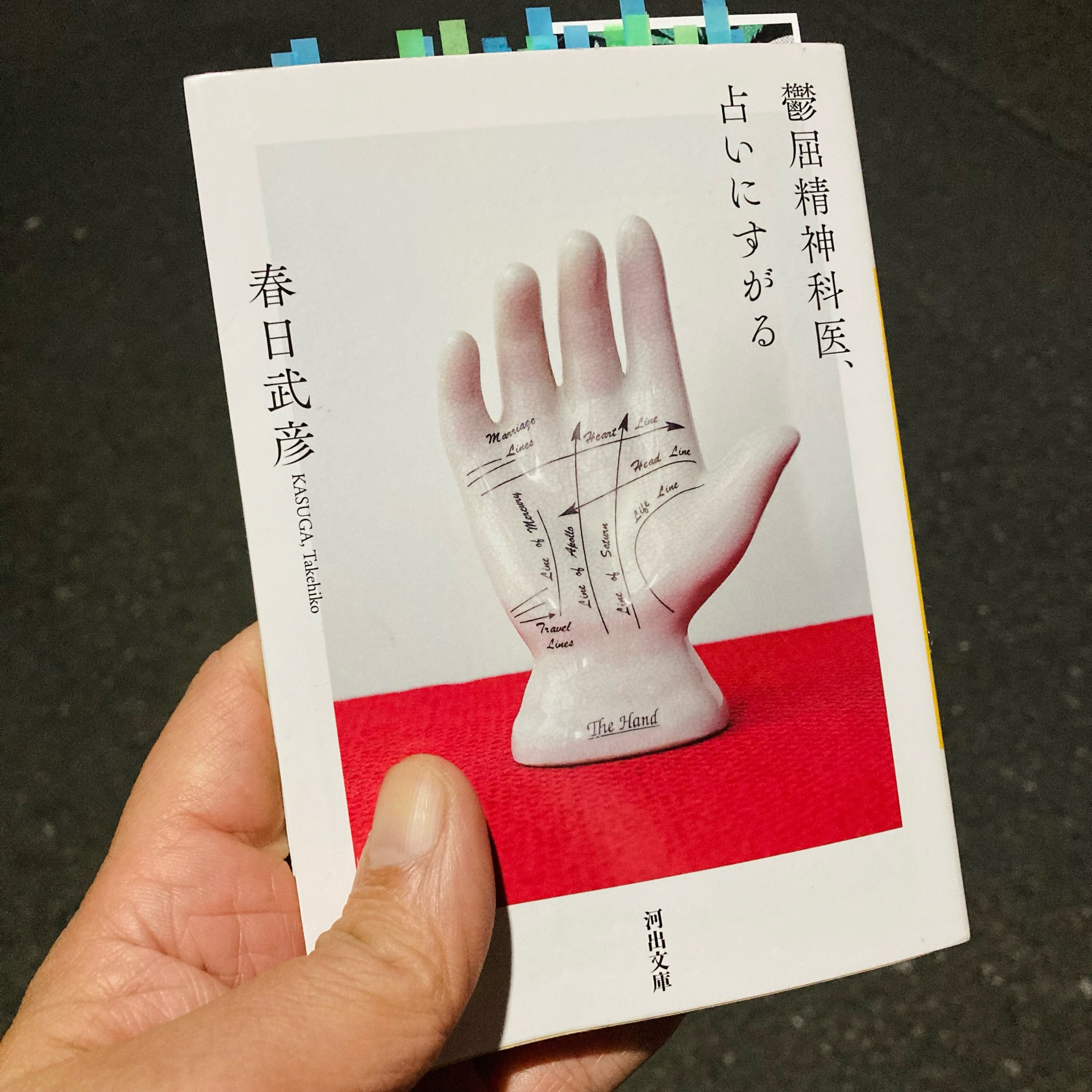 鬱屈精神科医、占いにすがる