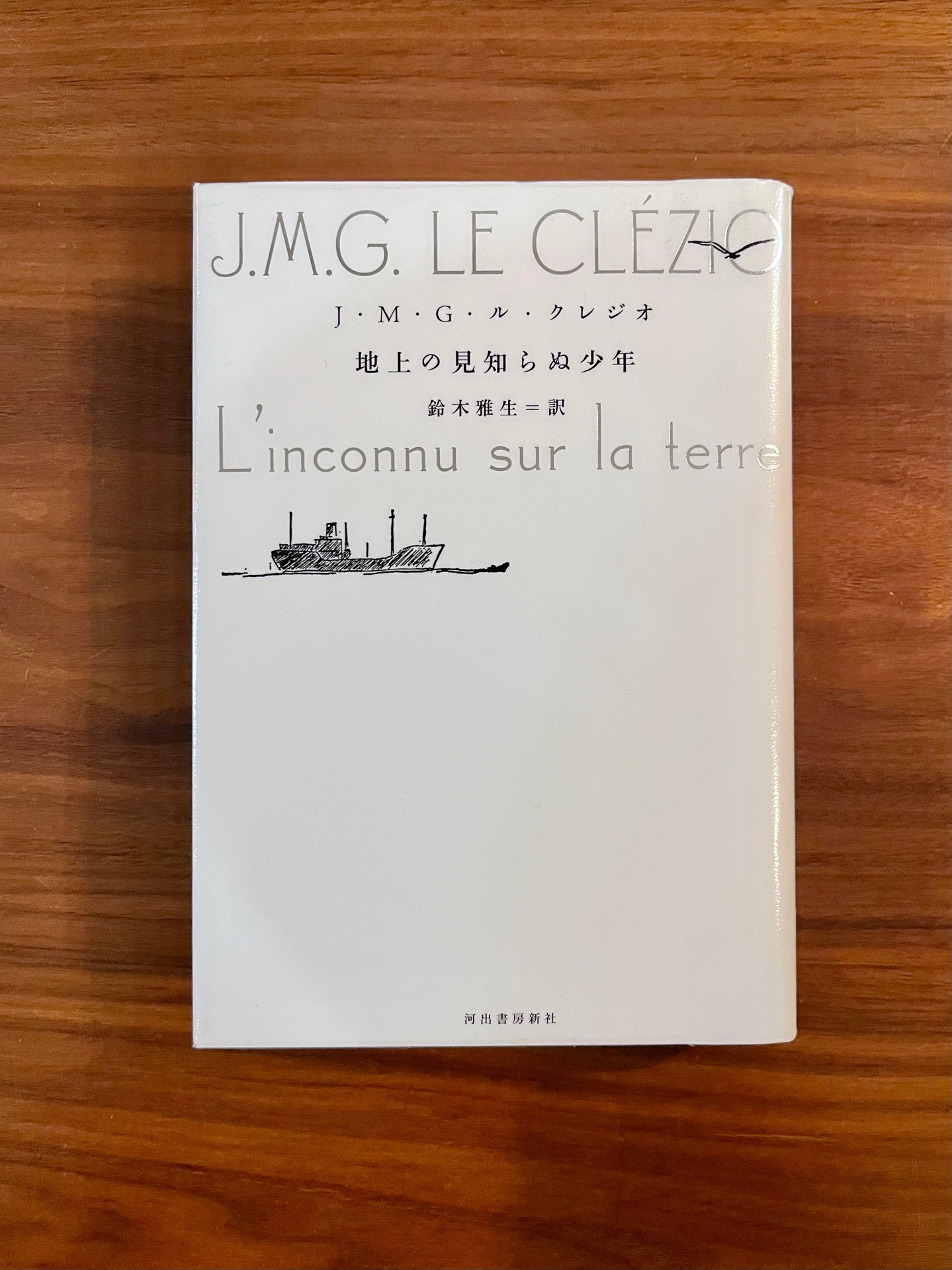 地上の見知らぬ少年