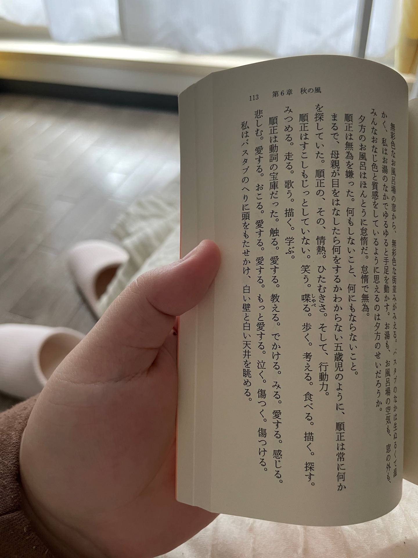 冷静と情熱のあいだ　Rosso