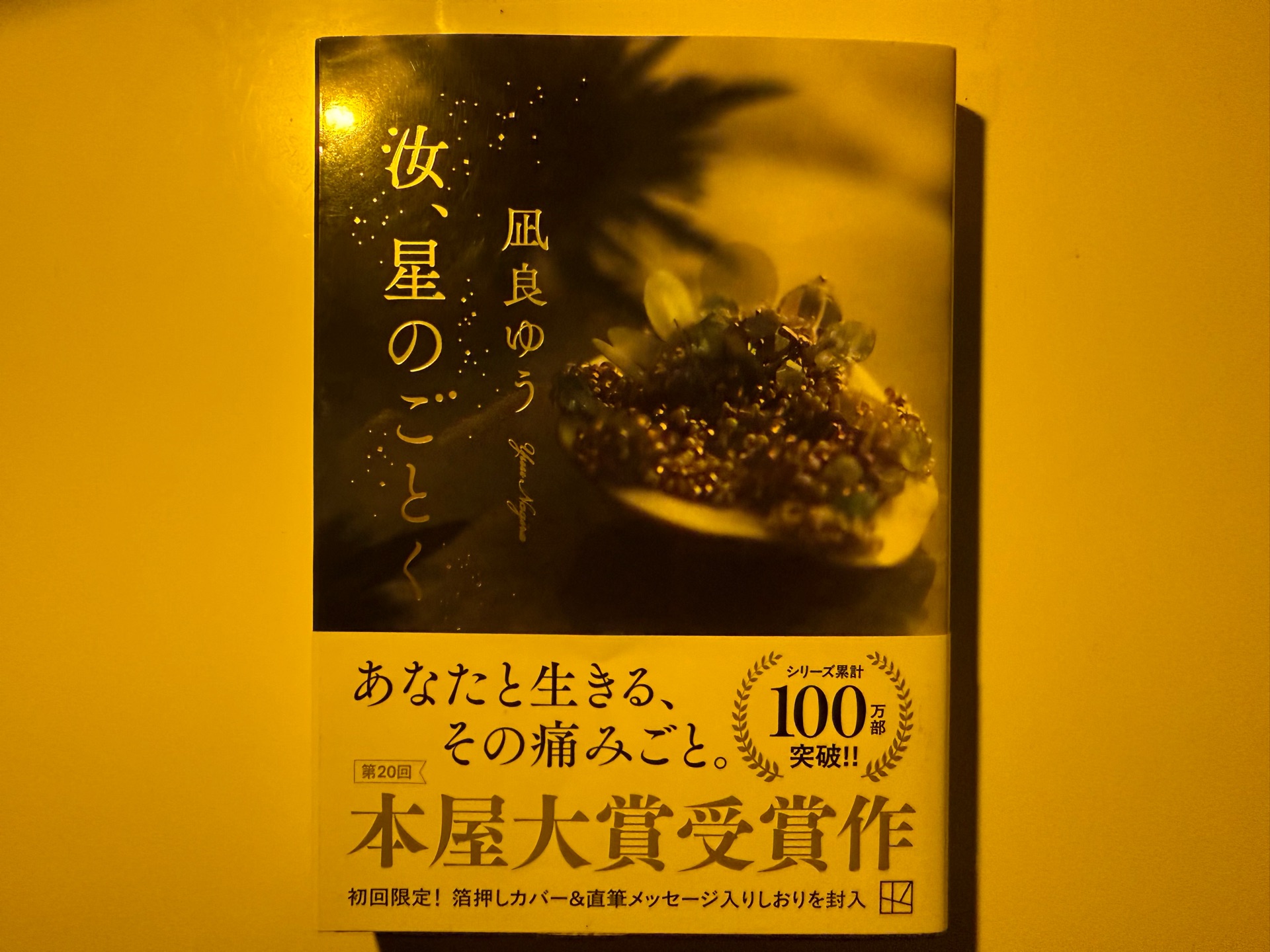 汝、星のごとく