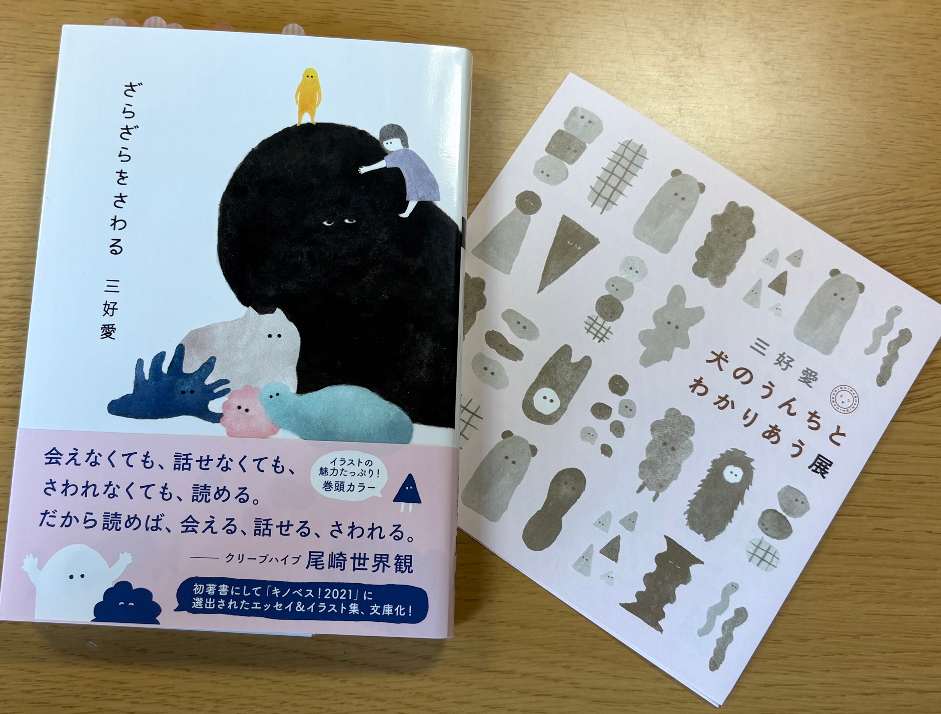 ざらざらをさわる