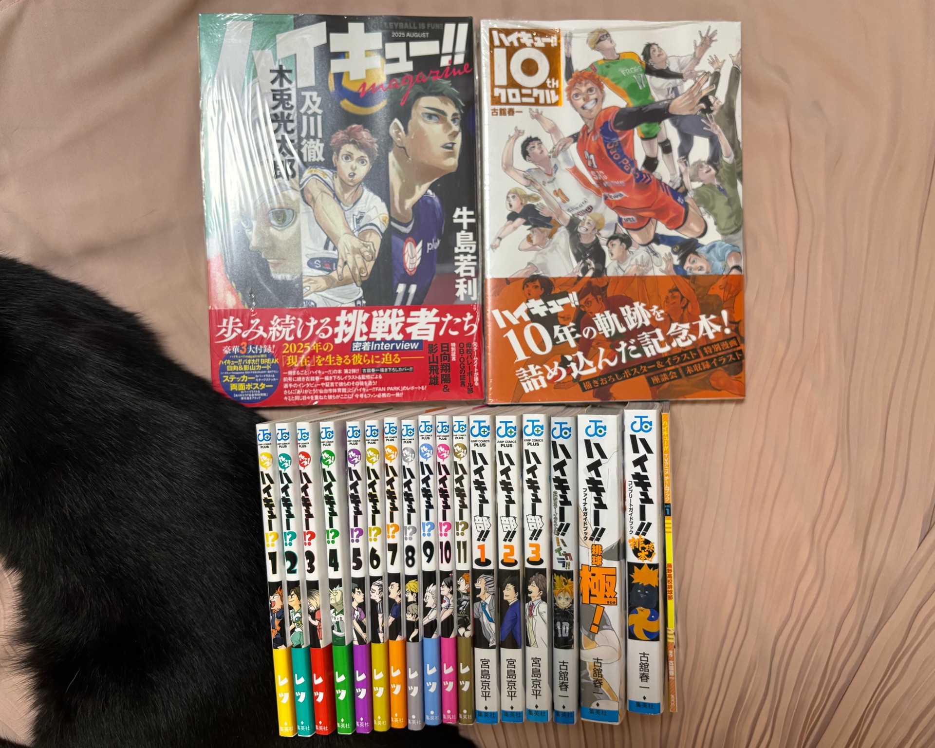 れっつ!ハイキュー!?(1)