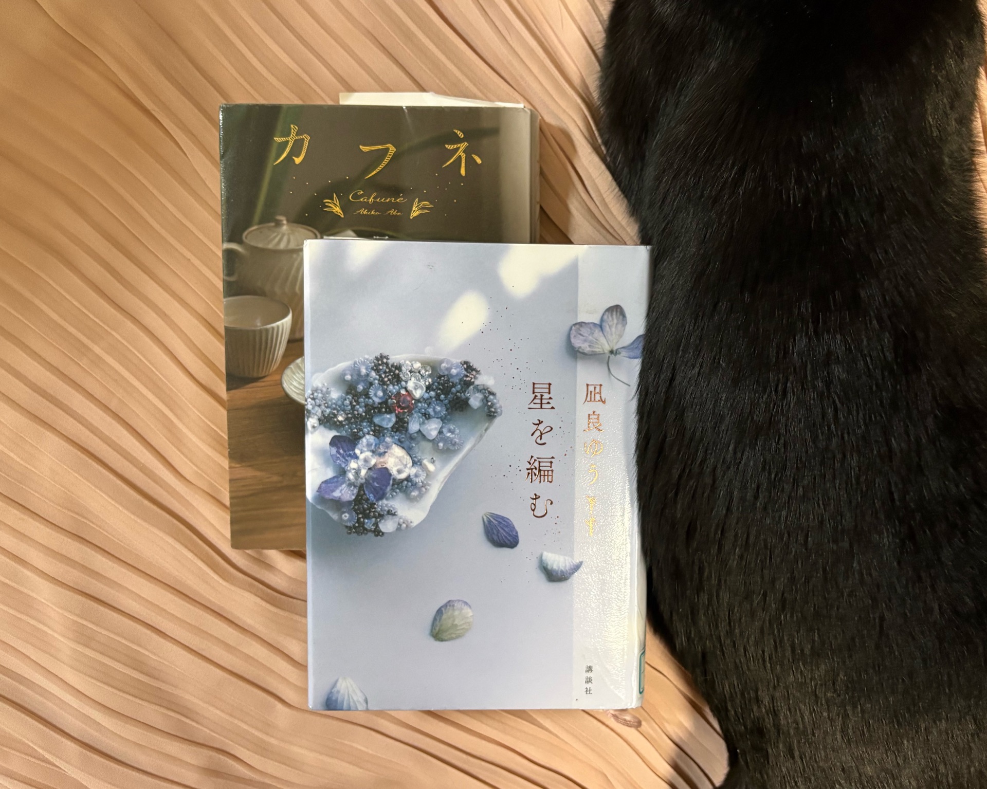星を編む