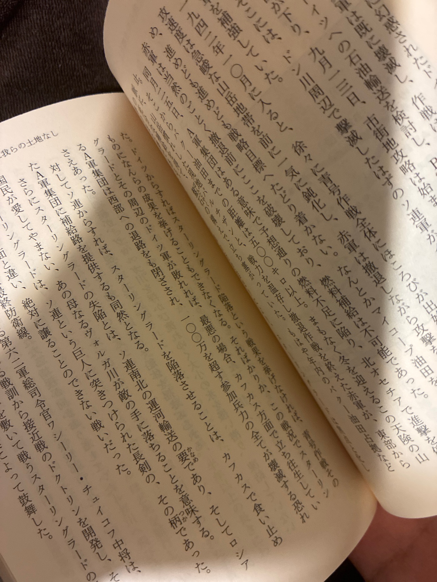 同志少女よ、敵を撃て
